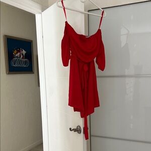 Naked Zebra Red Dress